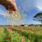 paperflower